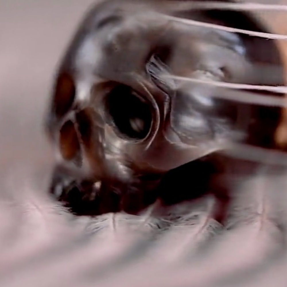 Black Sugar Skull~ Dia de Los Muertos Bones Anatomy Gothic Horror Scary Necklace - Picture 3 of 9